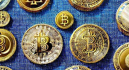 The Silence of the Miners: Why July 29's Crypto Stock Sell-Off Was Not About Bitcoin The Silence of the Miners: Why July 29's Crypto Stock Sell-Off Was Not About Bitcoin